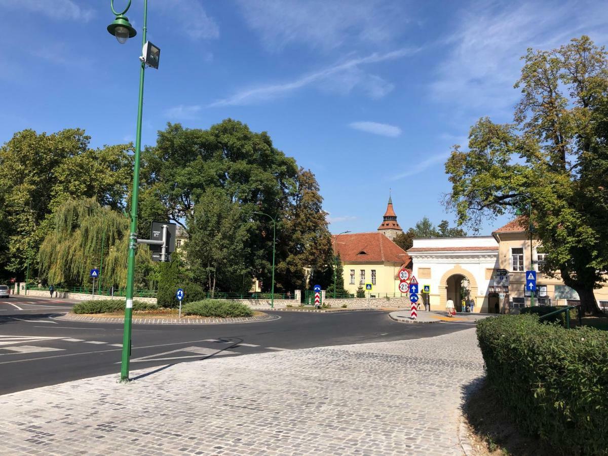 Schei 1